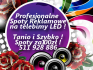 Wykonanie Spotów Reklamowych na telebimy LED – SPOTY ZA 100 ZŁ !
